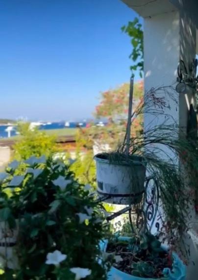 Sofi Suites Bodrum Eksteriør billede